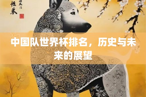 中国队世界杯排名，历史与未来的展望吉安市靖泰电力工程有限公司