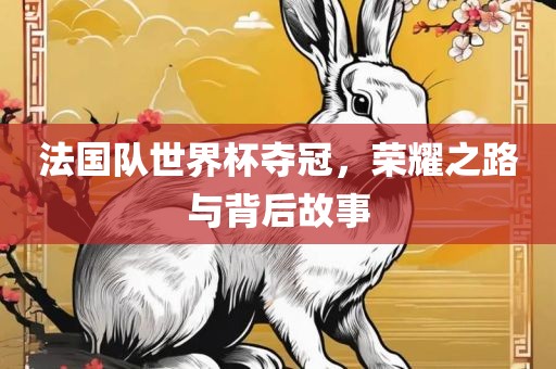 法国队世界杯夺冠，荣耀之路与背后故事