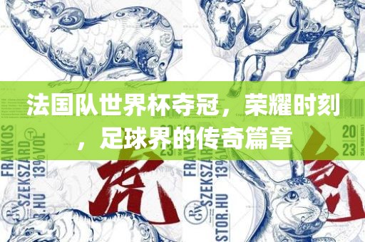 法国队世吉安市靖泰电力工程有限公司界杯夺冠，荣耀时刻，足球界的传奇篇章
