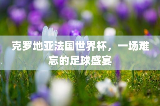 克罗地亚法国世界杯，一场难忘的足球盛宴吉安市靖泰电力工程有限公司