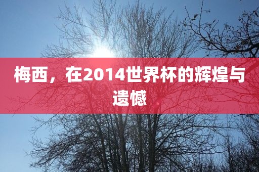 梅西，在2014世界杯的辉煌与遗憾