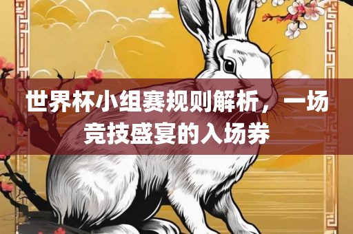世界杯小组赛规则解析，一场竞技盛宴的入场券