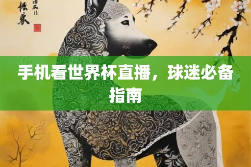 手机看世界杯直播，球迷必备指南吉安市靖泰电力工程有限公司