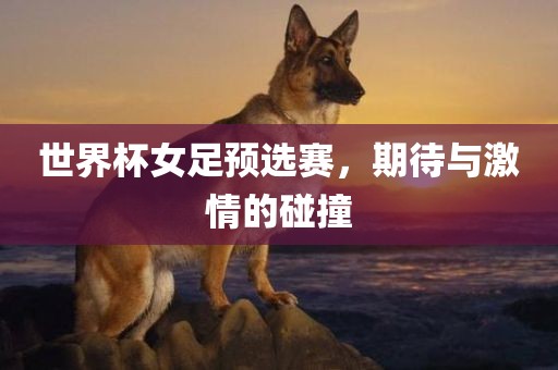 世界杯女足预选赛，期待与激情的碰撞