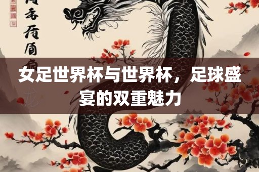 女足世界杯与世界杯，足球盛宴的双重魅力吉安市靖泰电力工程有限公司