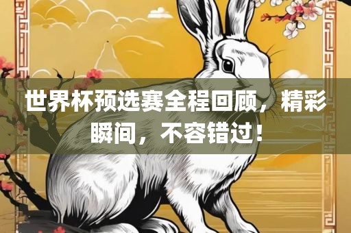 世界杯预选赛全程回顾，精彩瞬间，不容错过！吉安市靖泰电力工程有限公司