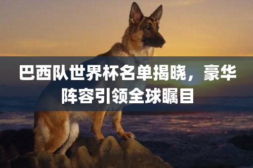 巴西队世界杯名单揭晓，豪华阵容引领全球瞩目吉安市靖泰电力工程有限公司