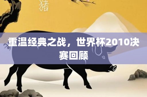 重温经典之战，世界杯2010决赛回顾吉安市靖泰电力工程有限公司