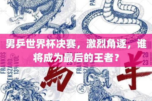 男乒世界杯决赛，激烈角逐，谁将成为最后的王者？