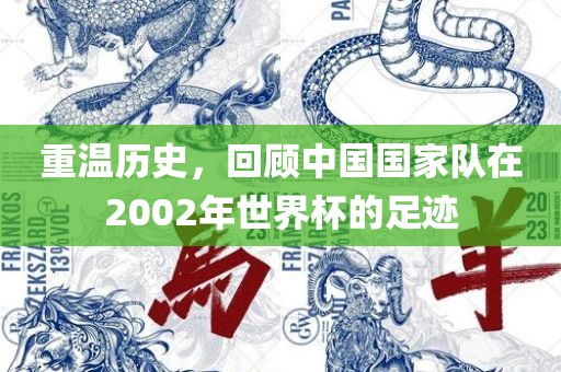 重温历史，回顾中国国家队在2002年世界杯的足迹