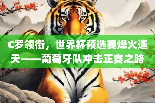 C罗领衔，世界杯预选赛烽火连天——葡萄牙队冲击正赛之路吉安市靖泰电力工程有限公司