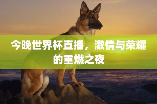 世界杯直播 第2页