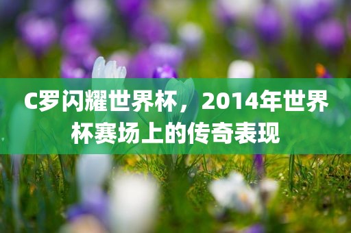 C罗闪耀世界杯，2014年世界杯赛场上的传奇表现吉安市靖泰电力工程有限公司