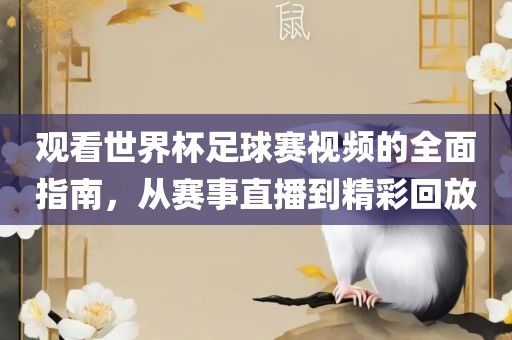 观看世界杯足球赛视频的全面指南，从赛事直播到精彩回放