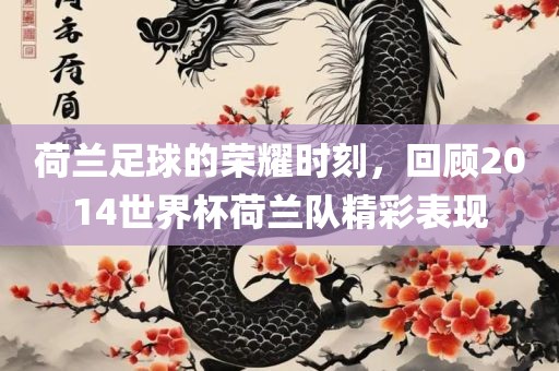 荷兰足球的荣耀时刻，回顾2014世界杯荷兰队精彩表现吉安市靖泰电力工程有限公司