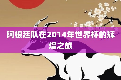 阿根廷队在2014年世界杯的辉煌之旅