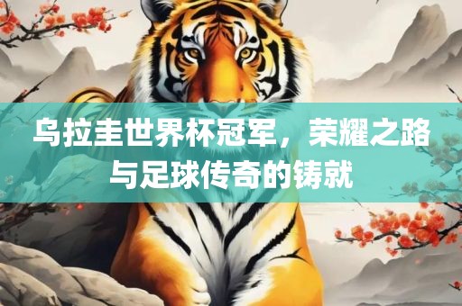乌拉圭世界杯冠军，荣耀之路与足球传奇的铸就
