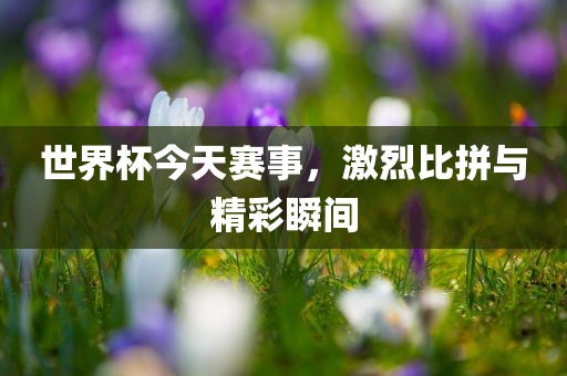 世界杯今天赛事，激烈比拼与精彩瞬间吉安市靖泰电力工程有限公司