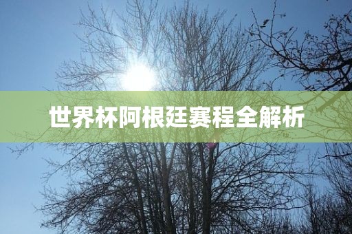 世界杯阿根廷赛程全解析吉安市靖泰电力工程有限公司