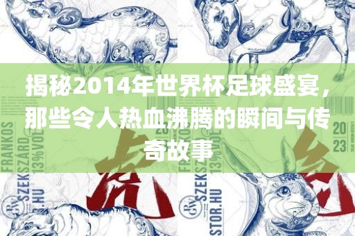 揭秘2014年世界杯足球盛宴，那些令人热血沸腾的瞬间与传奇故事
