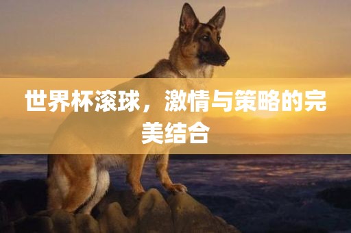 世界杯滚球，激情与策略的完美结合