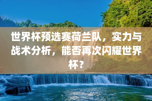 世界杯预选赛荷兰队，实力与战术分析，能否再次闪耀世界杯？