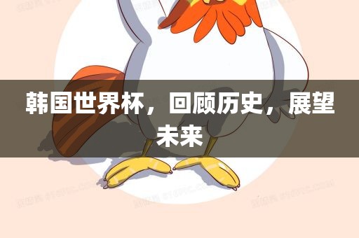 韩国吉安市靖泰电力工程有限公司世界杯，回顾历史，展望未来