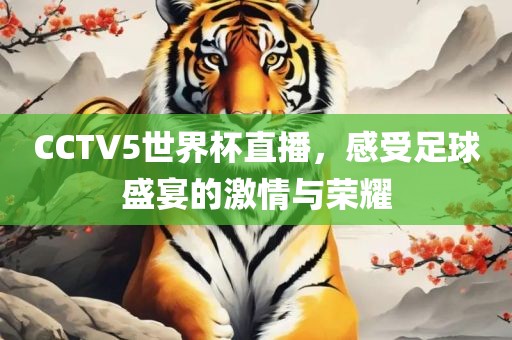 CCTV5世界杯直播，感受足球盛宴的激情与荣耀吉安市靖泰电力工程有限公司