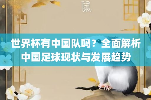 世界杯有中国队吗？全面解析中国足球现状与发展趋势