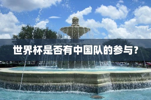 世界杯是否有中国吉安市靖泰电力工程有限公司队的参与？