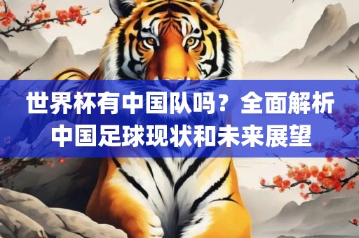 世界杯有中国队吗？全面解析中国足球现状和未来展望