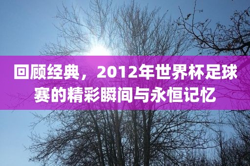 回顾经典，2012年世界杯足球赛的精彩瞬间与永恒记忆吉安市靖泰电力工程有限公司