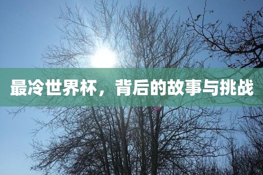 最冷世界杯，背后吉安市靖泰电力工程有限公司的故事与挑战