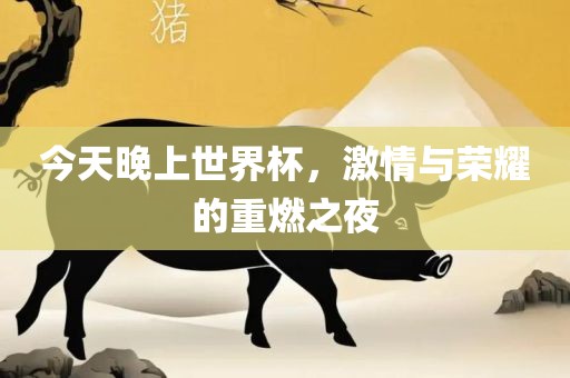 今天晚上世界杯，激情与荣耀的重燃吉安市靖泰电力工程有限公司之夜