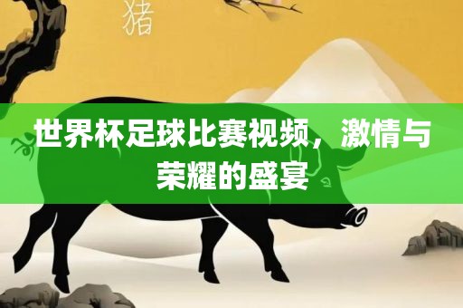 世界杯足球比赛视频，激情与荣耀的盛宴