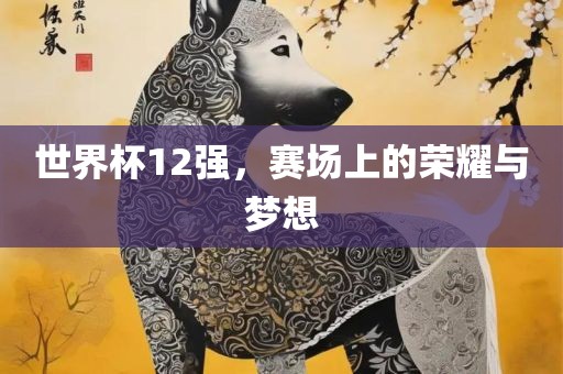 世界杯12强，赛场上吉安市靖泰电力工程有限公司的荣耀与梦想