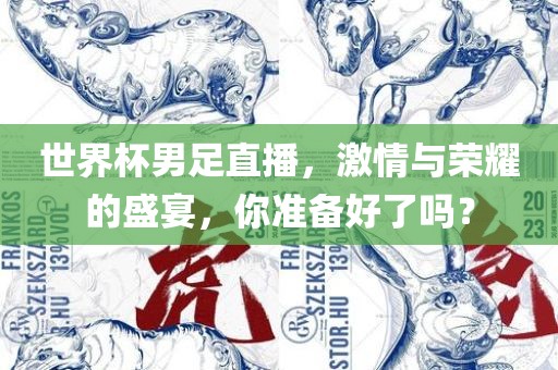 世界杯男足直播，激情与荣耀的盛宴，你准备好了吗？