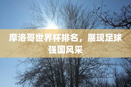 摩洛哥世界杯排名，展现足球强国风采
