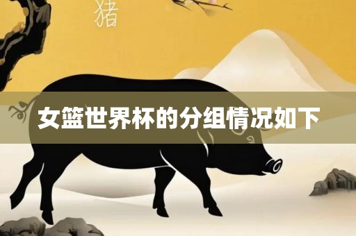 女篮世界杯的分组情况如下