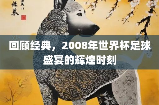 回顾经典，2008年世界杯足球盛宴的辉煌时刻吉安市靖泰电力工程有限公司