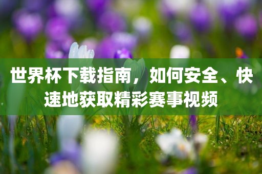 世界杯下载指南，如何安全、快速地获取精彩赛事视频吉安市靖泰电力工程有限公司