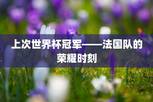 上次世界杯冠军——法国队的荣耀时刻吉安市靖泰电力工程有限公司