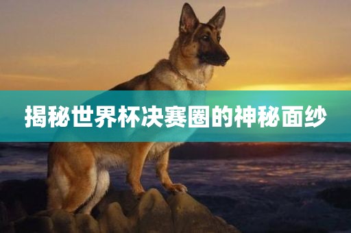 揭秘世界杯决赛圈的神秘面纱吉安市靖泰电力工程有限公司