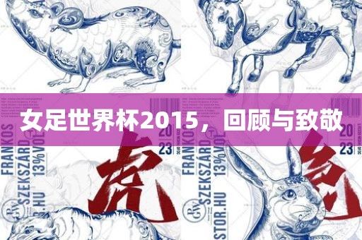 女足世界杯2015，回顾与致敬