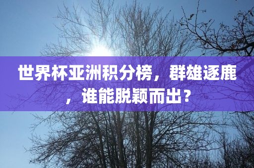 世界杯亚洲积分榜，群雄逐鹿，谁能脱颖而出？