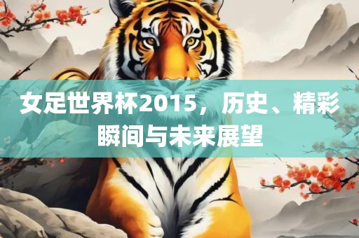 女足世界杯2015，历史、精彩瞬间与未来展望