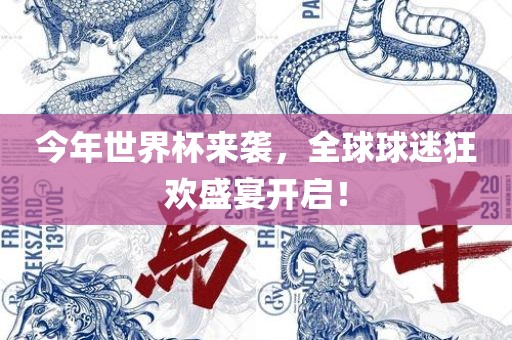 今年世界杯来袭，全球球迷狂欢盛宴开启！