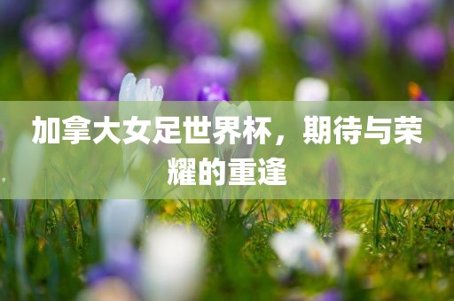 加拿大女足世界杯，期待与荣耀的重逢