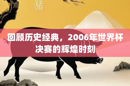 回顾历史经典，2006年世界杯决吉安市靖泰电力工程有限公司赛的辉煌时刻