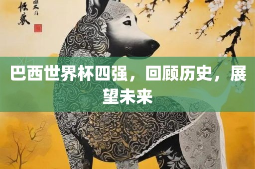 巴西世界杯四强，回顾历史，展望未来